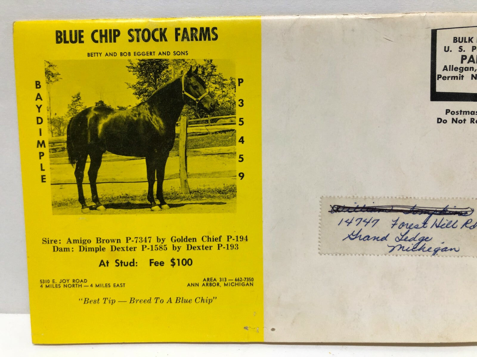 19th Annual State Show and Sale Michigan Association of Western Horse Clubs INC