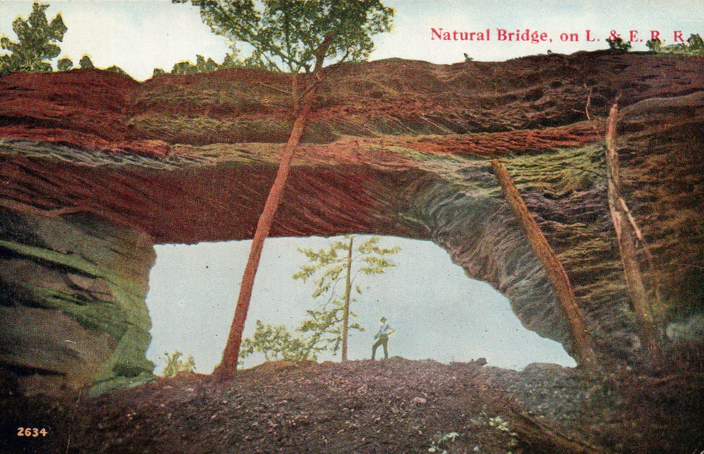 Natural Bridge On L & E Rail Road 2634 Bridge Postcard