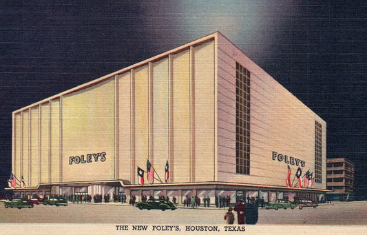 The New Foley's Building in Houston Tex Texas TX Postcard