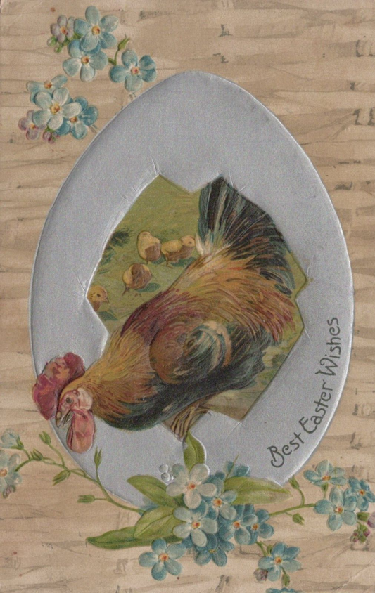 Easter Hen Chicken and Four Chicks Blue Flowers Silver Egg Embossed Postcard