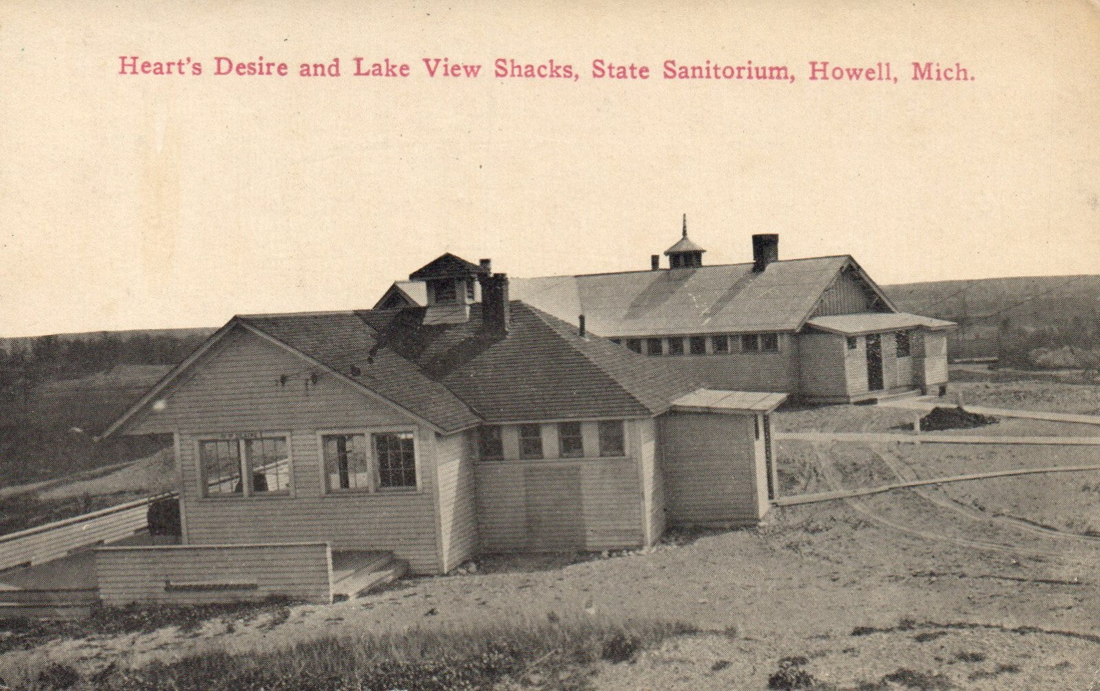 Heart's Desire and Lake View Shacks State Sanitorium Howell Michigan MI Postcard
