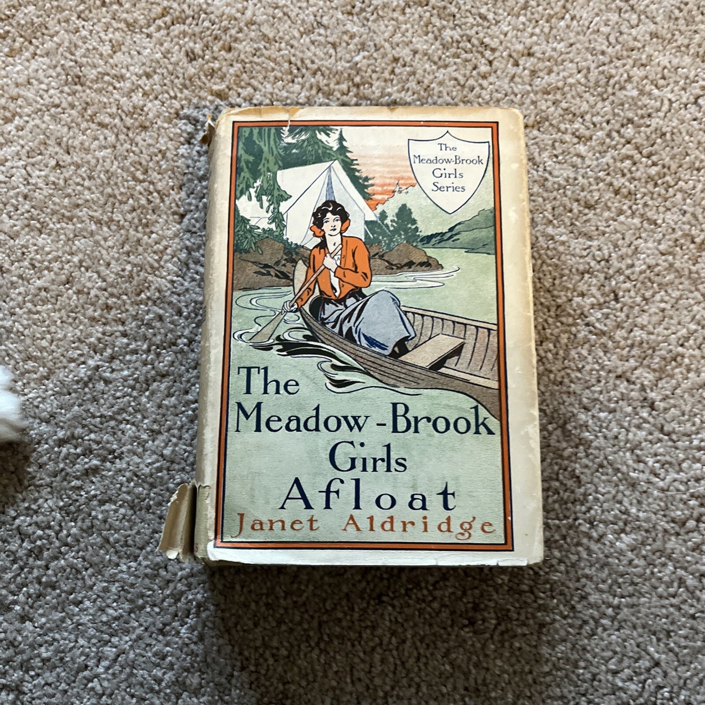 The Meadow-Brook Girls A Float by Janet Aldridge 1913 Edition HC Book