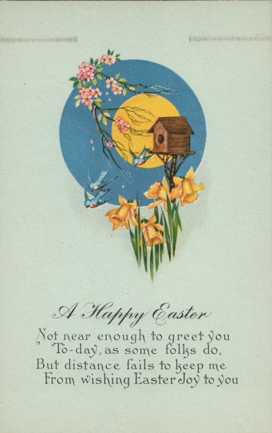 Blue Background Gold Boarder Blue Birds Flowers Bird House Poem Easter Postcard