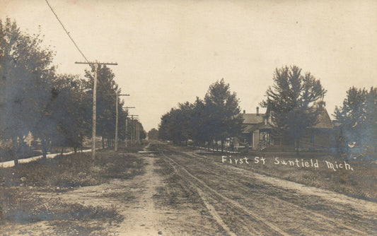 Real Photo First Street Sunfield Vintage Michigan MI Postcard 
