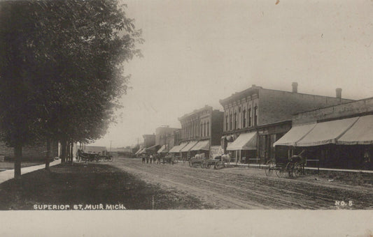 Real Photo Street View Superior Street Muir Michigan MI Mich Postcard No 5