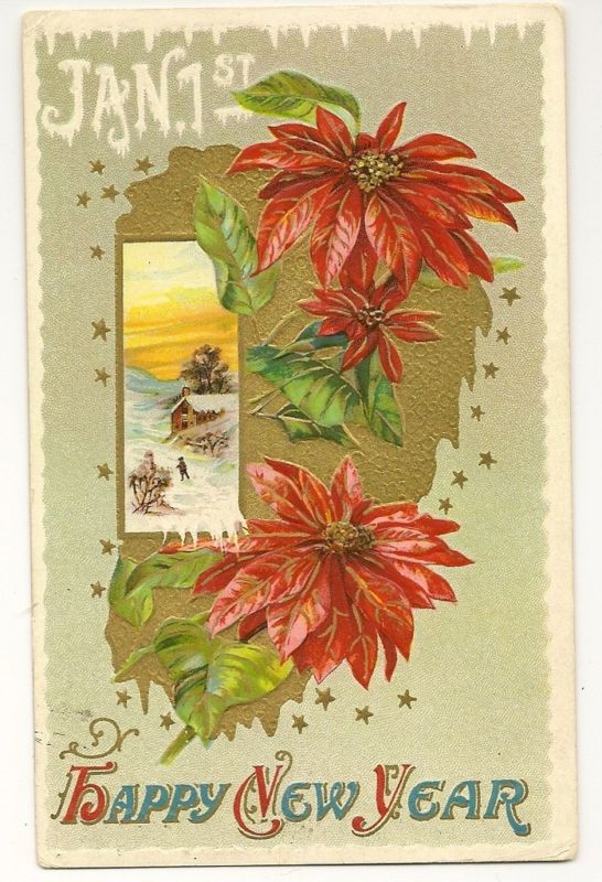 Poinsettia flowers New Year Holiday  Series 32B