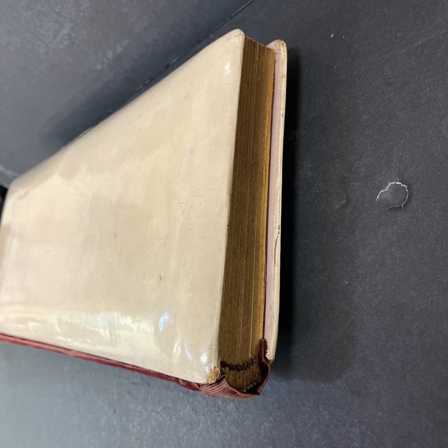 Vintage photograph photo album