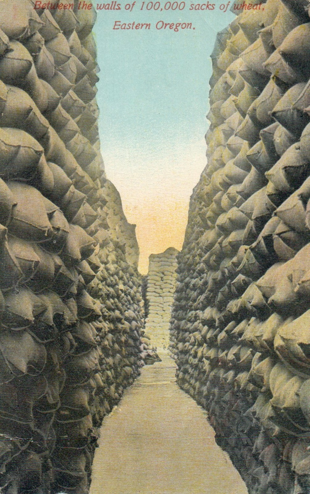 Between The Walls Of 100,000 Sacks Of Wheat Eastern Oregon OR Vintage Postcard