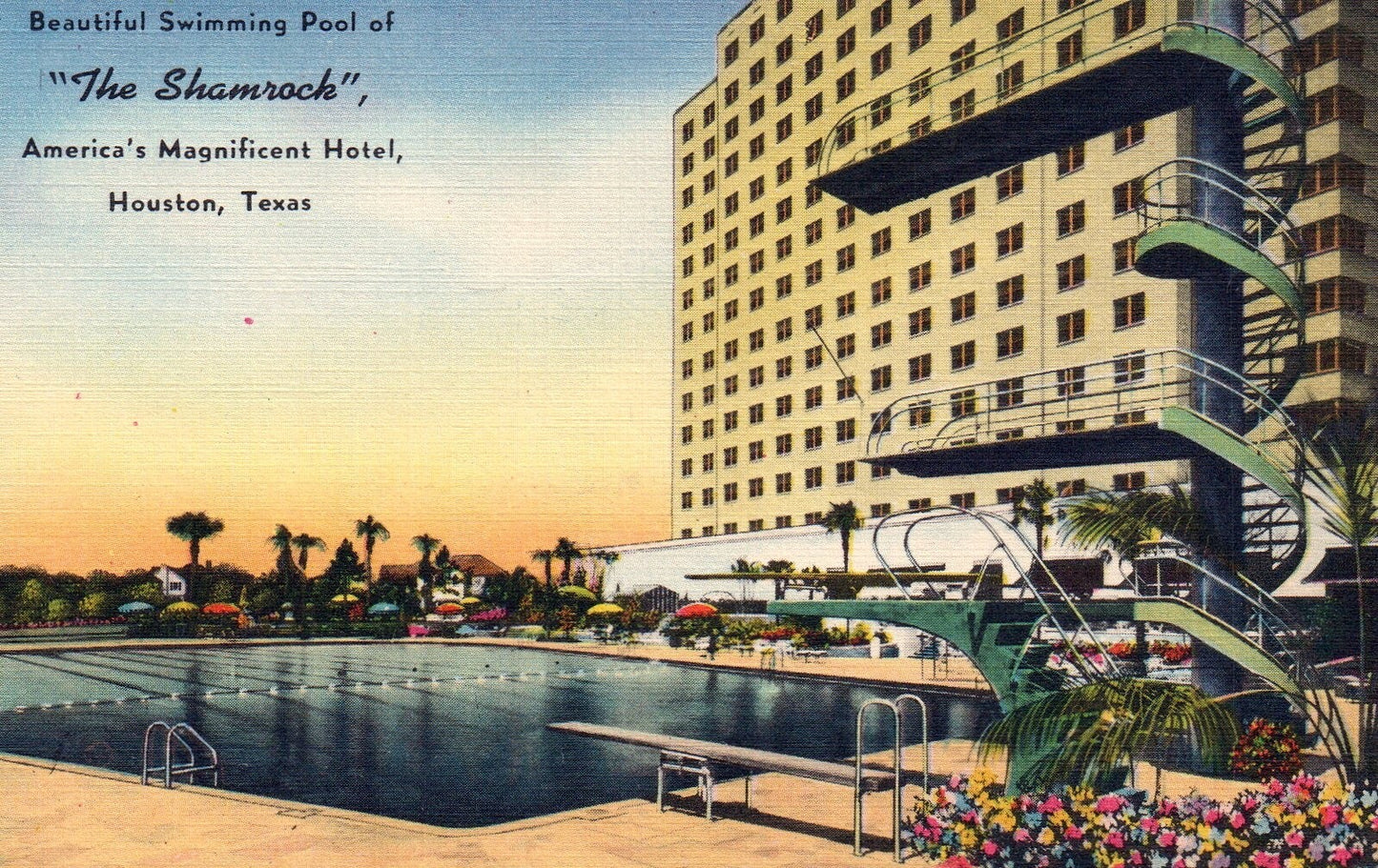Beautiful Swimming Pool of "The Shamrock" in Houston Tex Texas TX Postcard