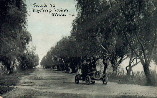 Road to Spring Lake Michigan Mich MI Postcard