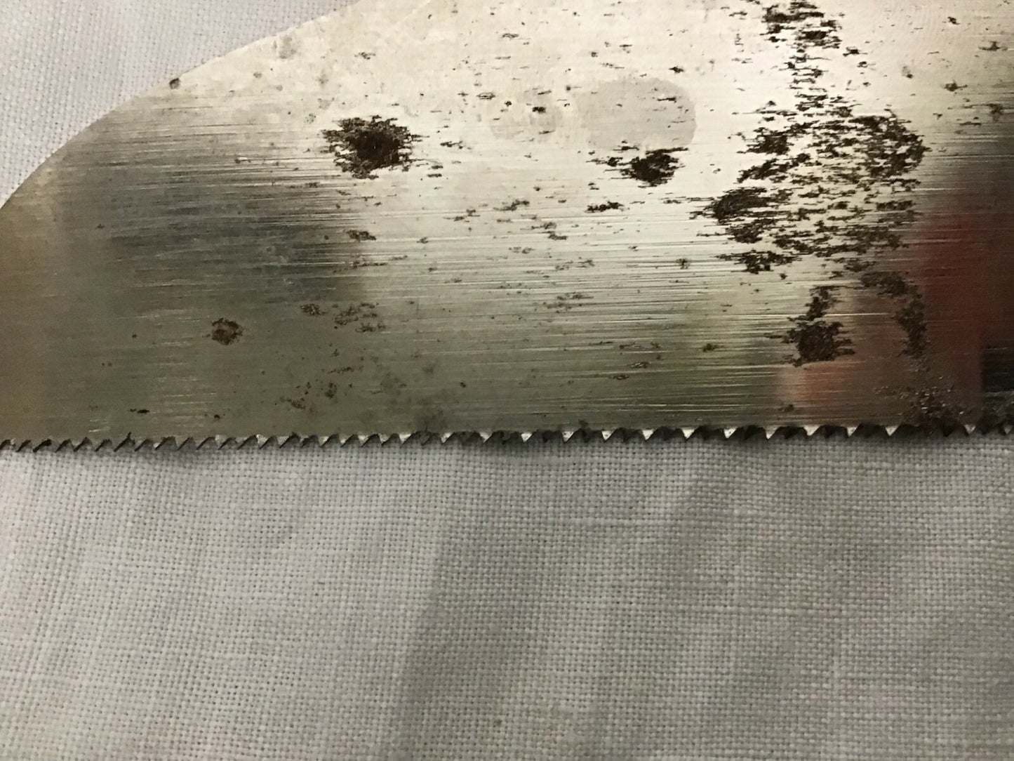 Vintage Antique Bone Saw Blade Only Instrument Tool