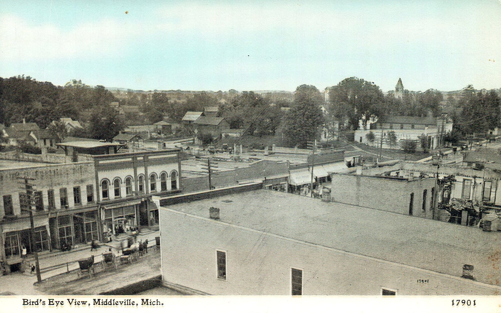 Bird's Eye View of Middleville MI Michigan Postcard