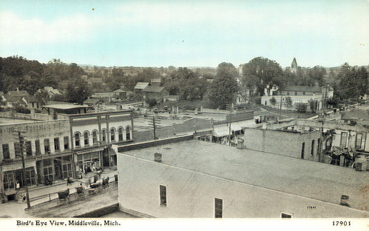 Bird's Eye View of Middleville MI Michigan Postcard