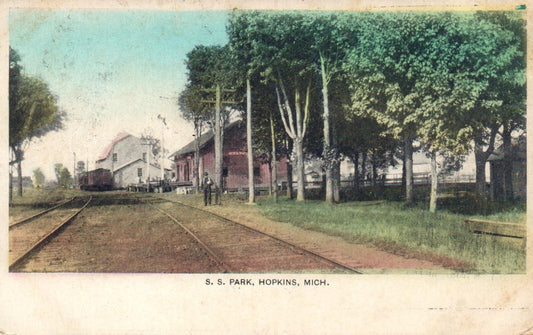 S.S. Park in Hopkins Michigan MI Postcard