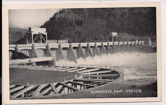 Bonneville Dam Oregon OR Postcard  