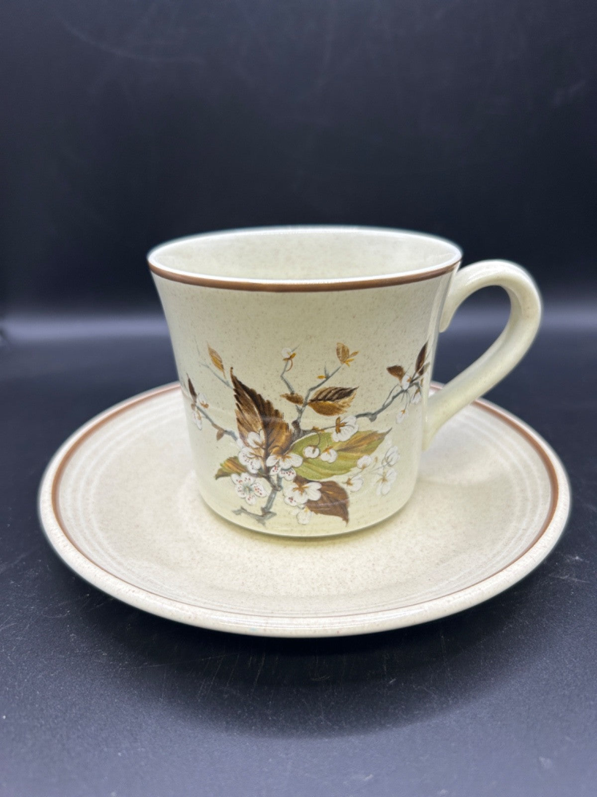 Royal Doulton WILD CHERRY Cup & Saucer Made in England Lambethware 1979