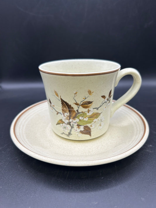 Royal Doulton WILD CHERRY Cup & Saucer Made in England Lambethware 1979
