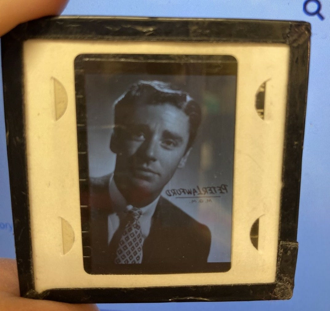 Peter Lawford Original 2 x 2 black white slide Hollywood MGM Promotional photo  