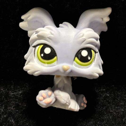Littlest Pet Shop LPS Lavender Purple Yorkie Dog Puppy Retired #1611
