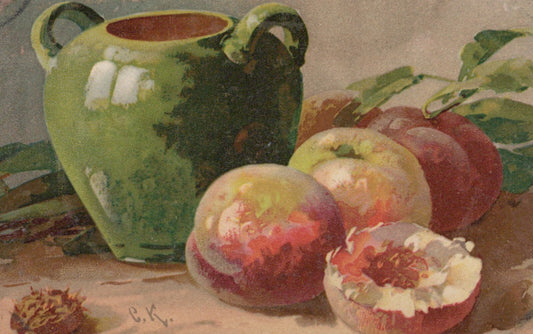 Vintage Catherine Klein Artist Signed Fruit Grapefruit Green Vase Post Card