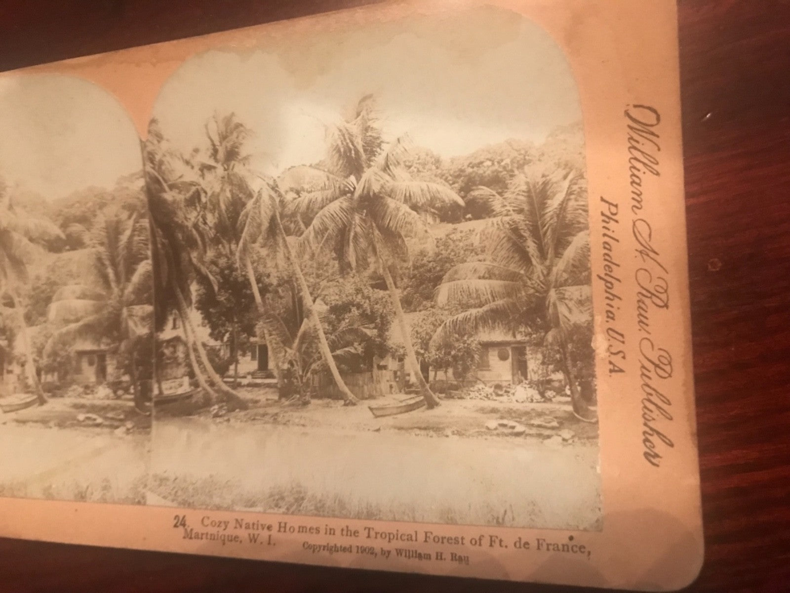 Real photo stereoview #24 Homes Tropical Forest Ft de France Martinique WI 