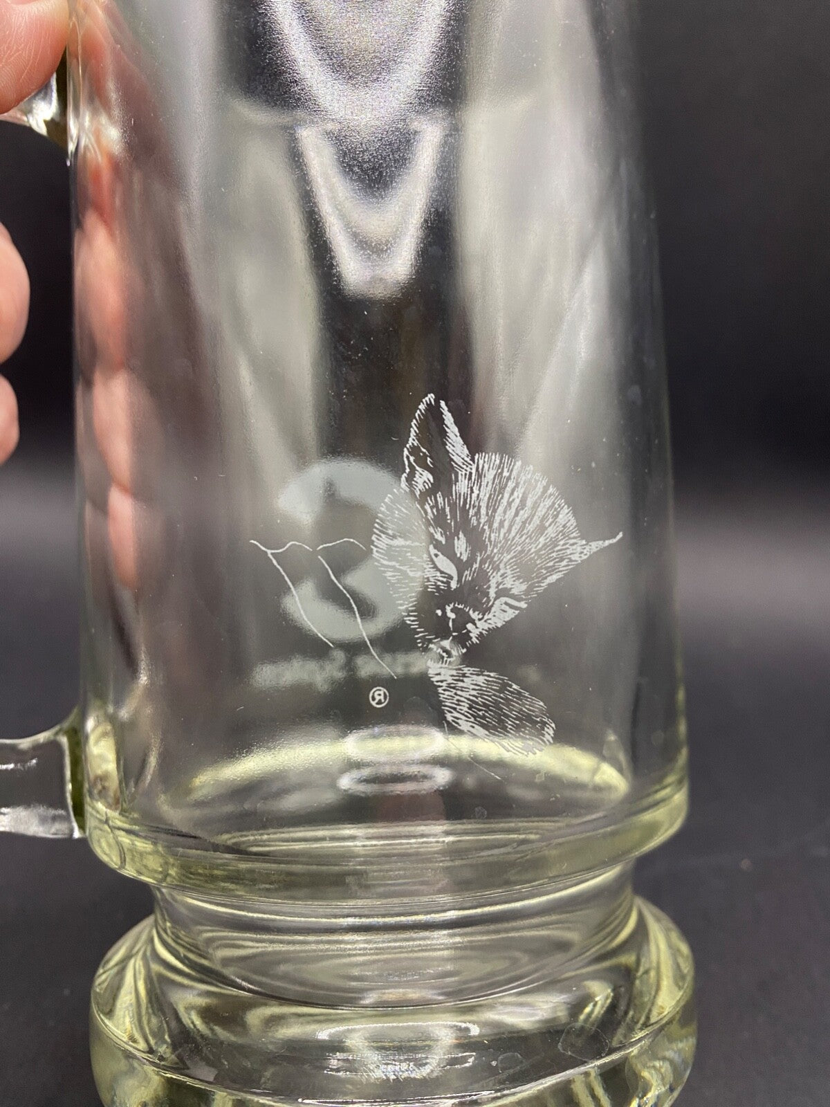 Single Railroad Railway Chessie & Peake Cat Glass Mug 6.5" x 3.5" MUG #2