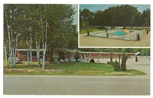 Flamingo Motel Mackinaw City Michigan MI Pool Birch Trees Umbrellas Post Card