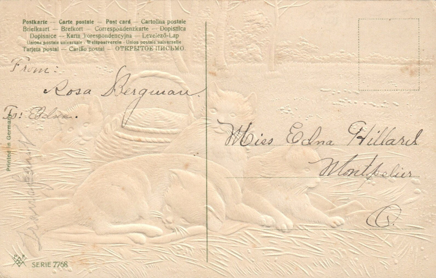 Four Cats Lounging on A Bed of Hay in a Field Cats Animal Postcard