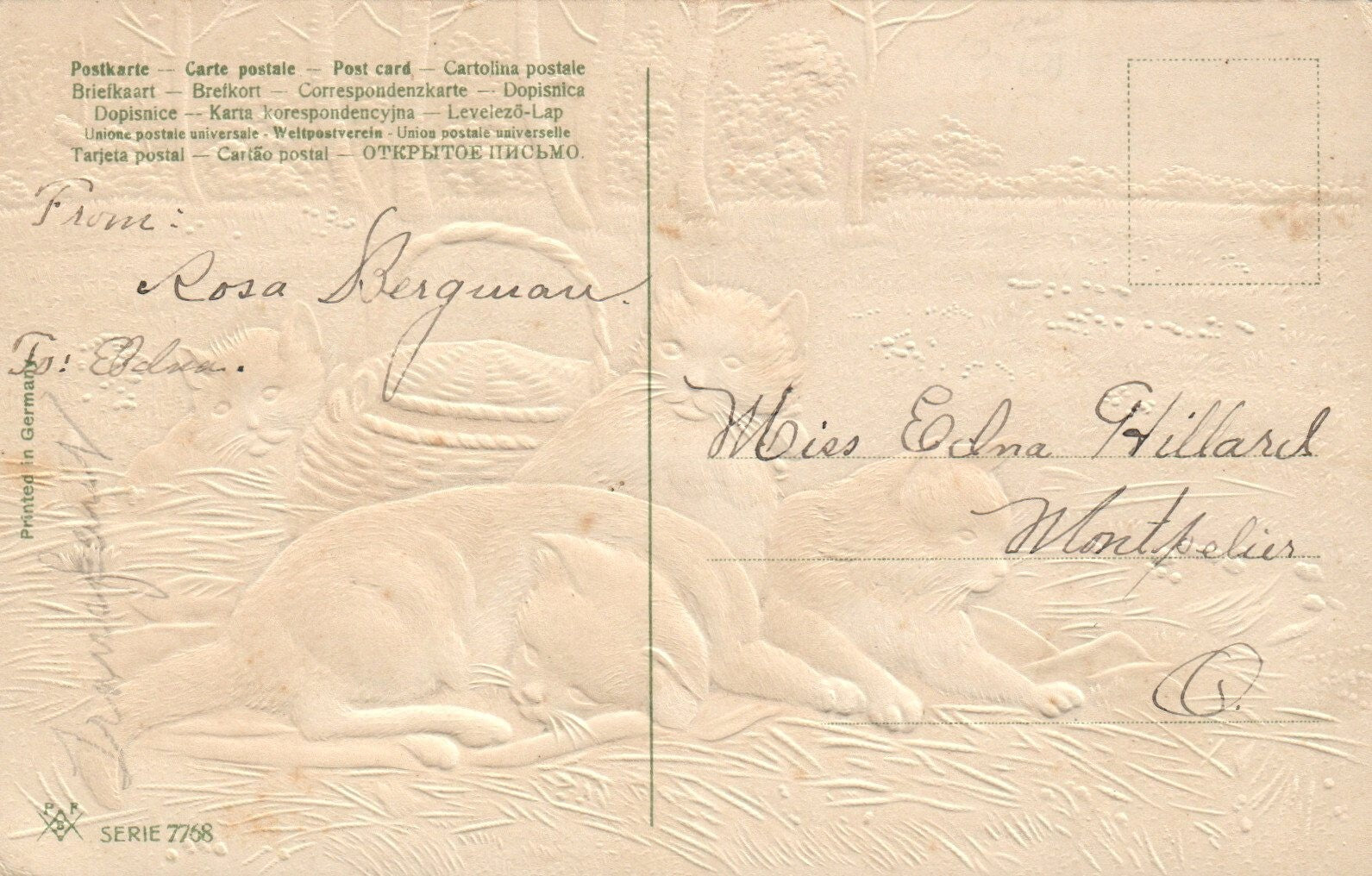 Four Cats Lounging on A Bed of Hay in a Field Cats Animal Postcard