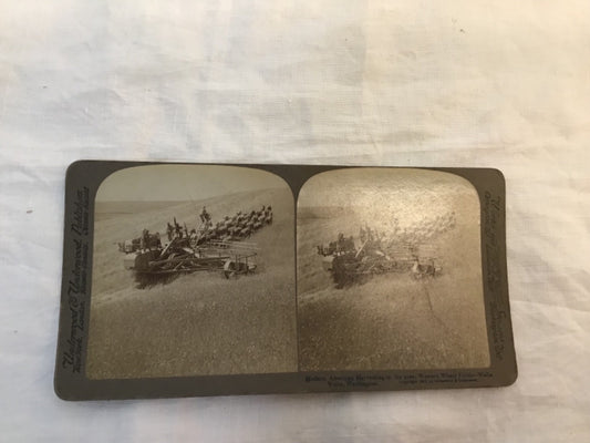 1902 Real Photo Modern American Harvesting Wally Washington WA  stereoview
