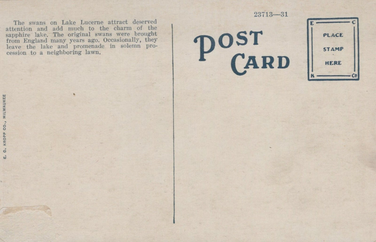 Four Swans on Lake Lucerne, Orlando, Florida FL Animals Birds Postcard 23713-31