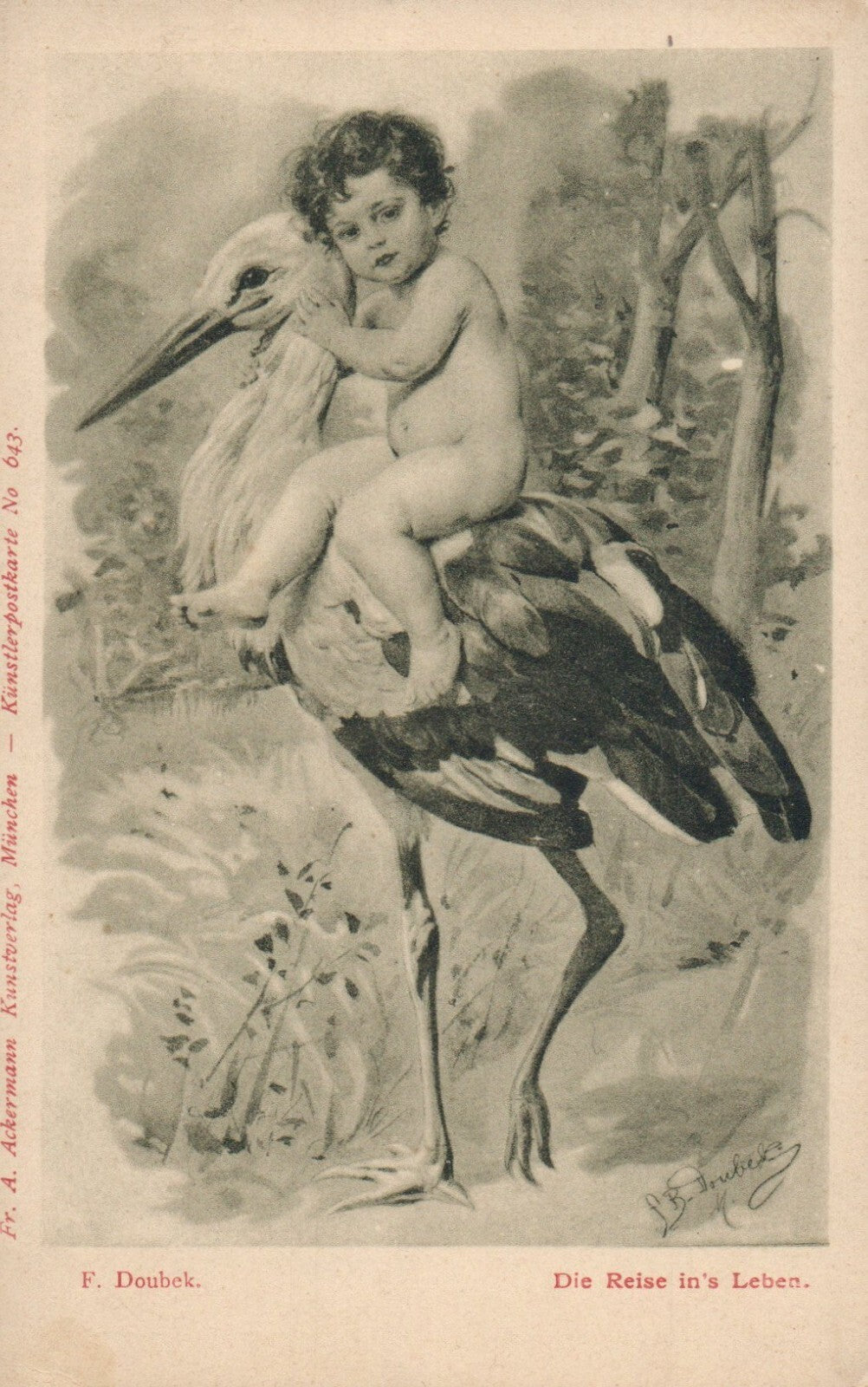 Artist Signed Pre 1907 F. Doubek Stork and Baby Bird Animal Postcard