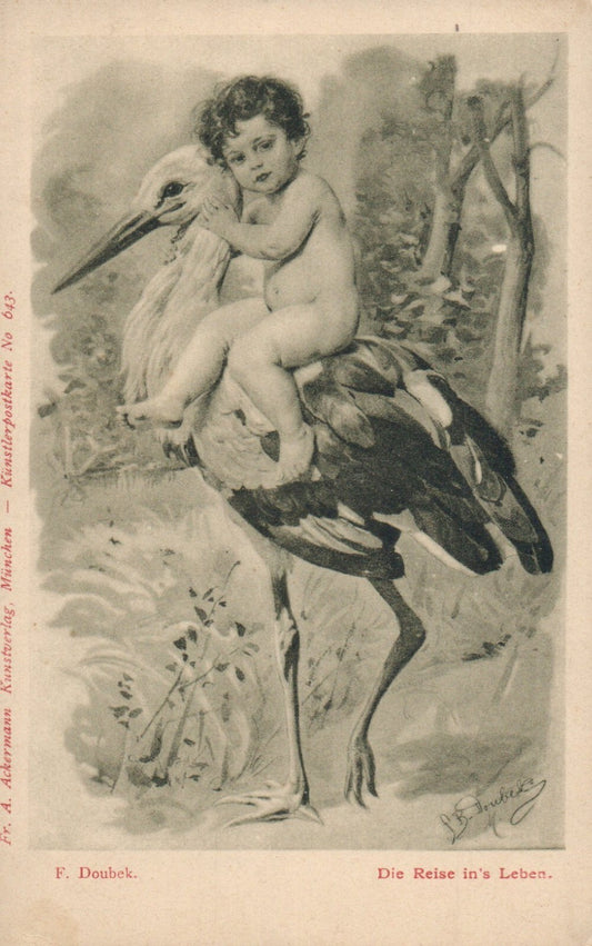 Artist Signed Pre 1907 F. Doubek Stork and Baby Bird Animal Postcard