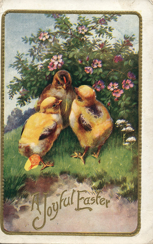 1912 Colorful Floral Easter Chick Postcard