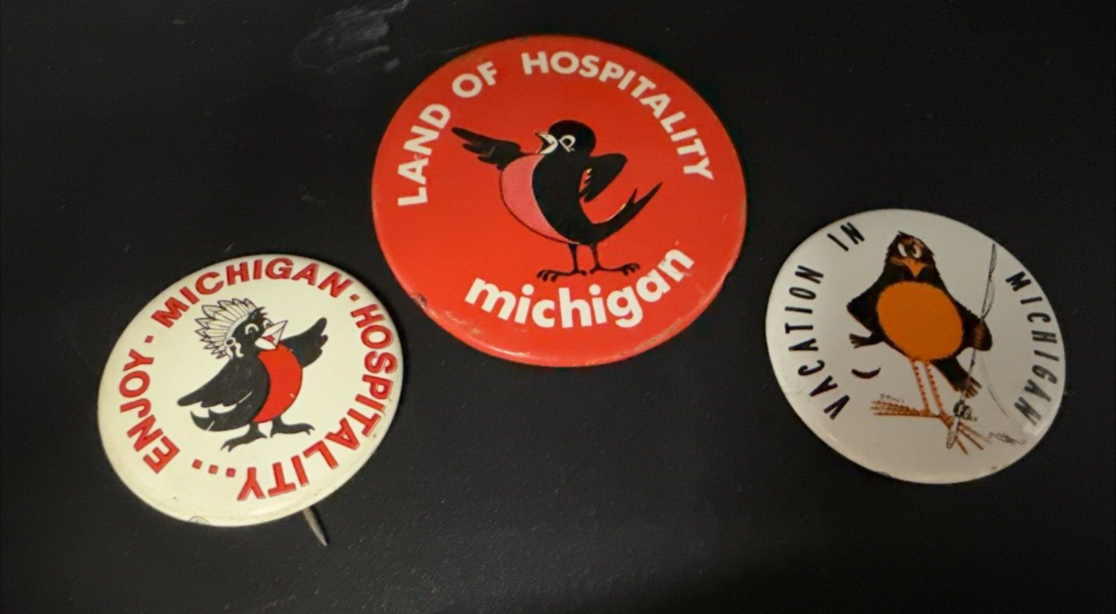 Lot of 3 Land of Hospitality Robin Bird Vintage Pin Pinbacks MI Michigan