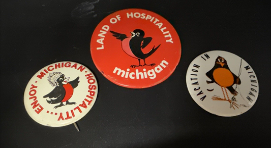 Lot of 3 Land of Hospitality Robin Bird Vintage Pin Pinbacks MI Michigan