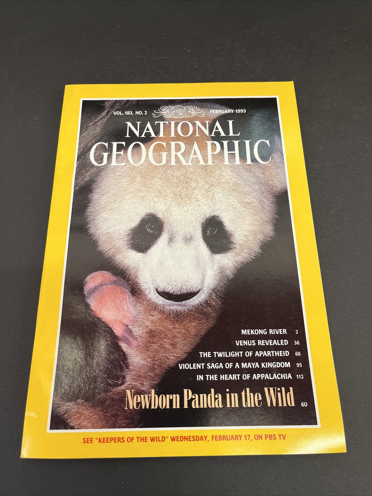 February 1993 National Geographic Magazine "Newborn Panda in the Wild" 