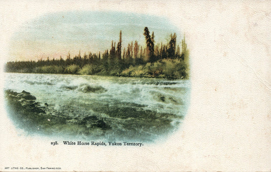 #238  Shooting White Horse Rapids Yukon Territory Alaska AK Postcard