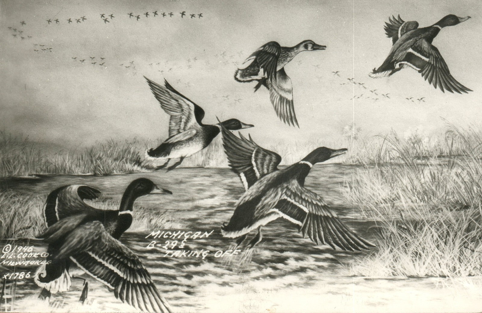 Real Photo RPPC Flying Duck image 1946 LL Cook Michigan B 29 Postcard