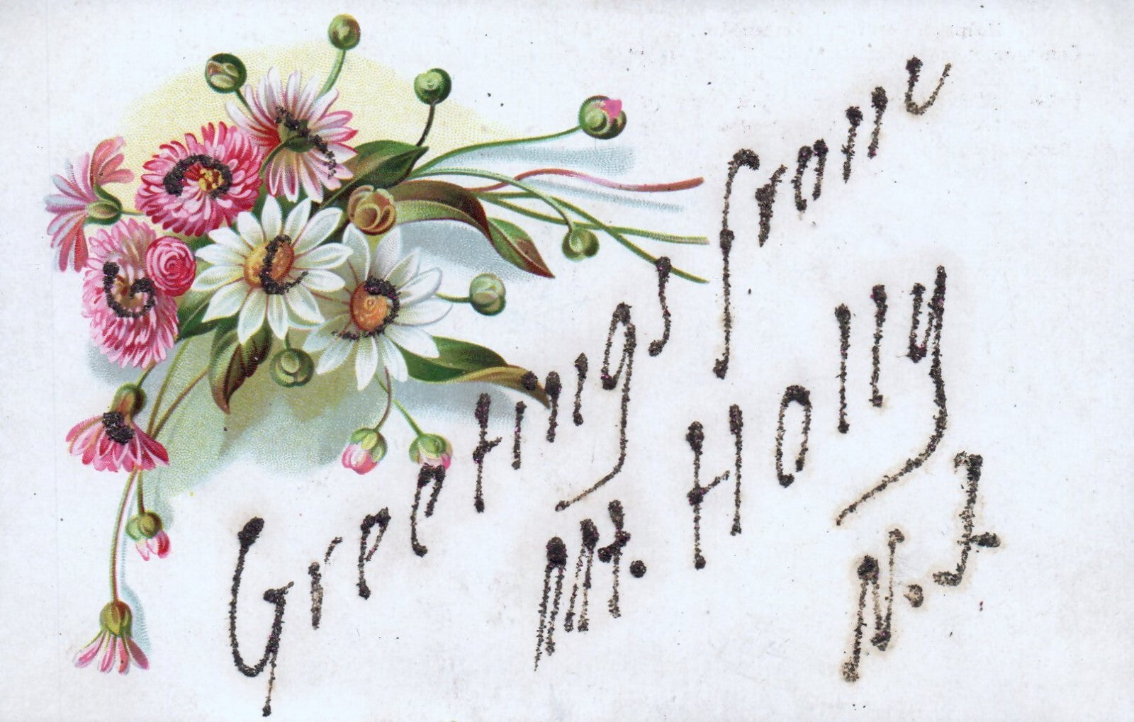 Greetings from Mt Holly Pink & White Floral Greeting Card New Jersey NJ Postcard