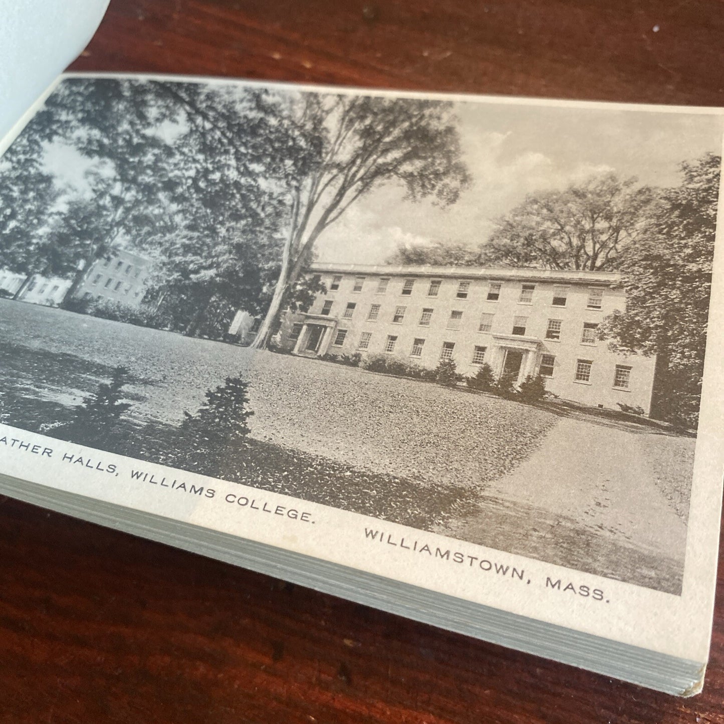 Glimpses of Williamstown & Williams College Massachusetts MA  Postcard