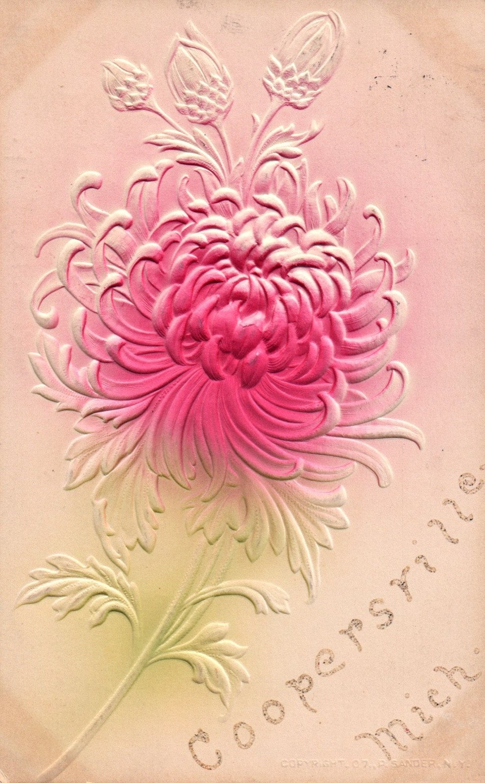 Embossed Floral Greetings From Coopersville MI Michigan Postcard