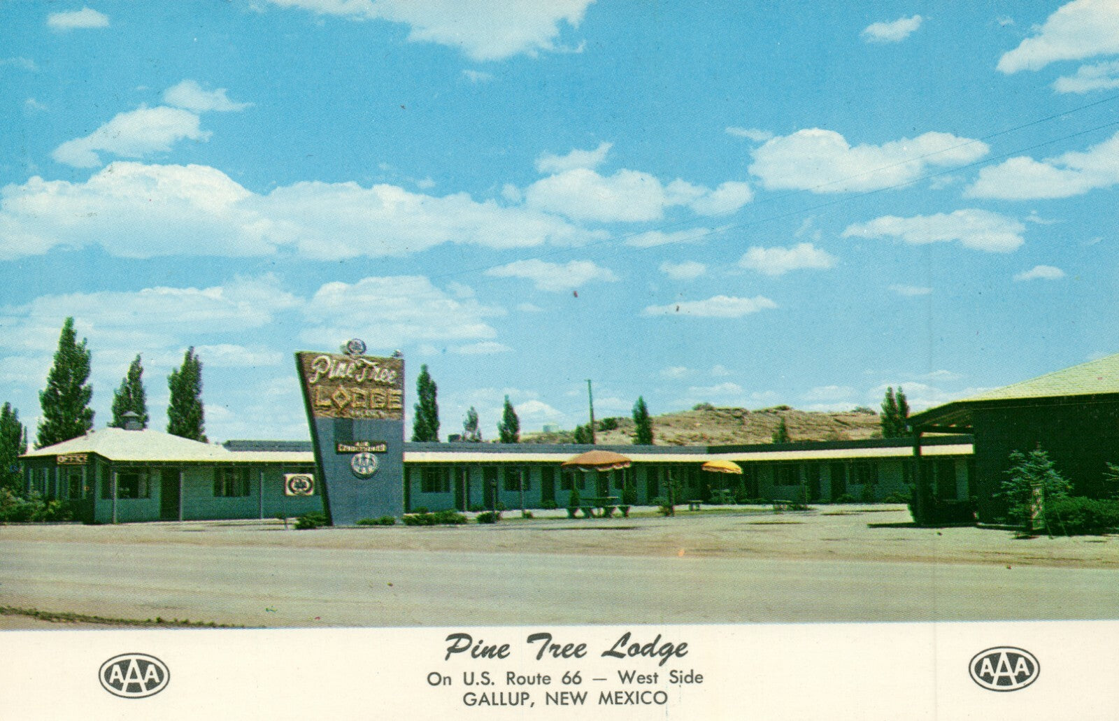 Pine Tree Lodge Motel AAA US Route 66 West Side Gallup New Mexico NM Postcard
