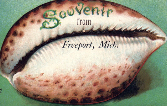 Shell Postcard Souvenir From Freeport Michigan Mich MI Postcard