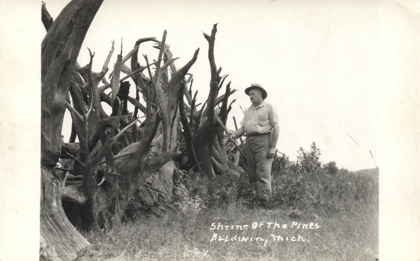 Real Photo Shrine of the Pines Baldwin Mich MI Michigan Postcard Tree Fence Wall