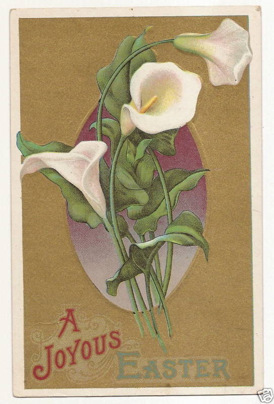 Lily Easter Postcard Series D 4 Flower