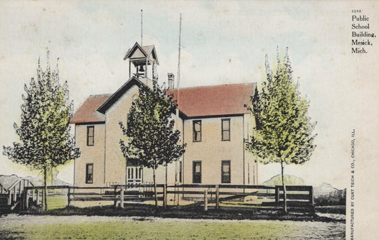 Public School Building Mesick Michigan MI Mich Postcard 9240
