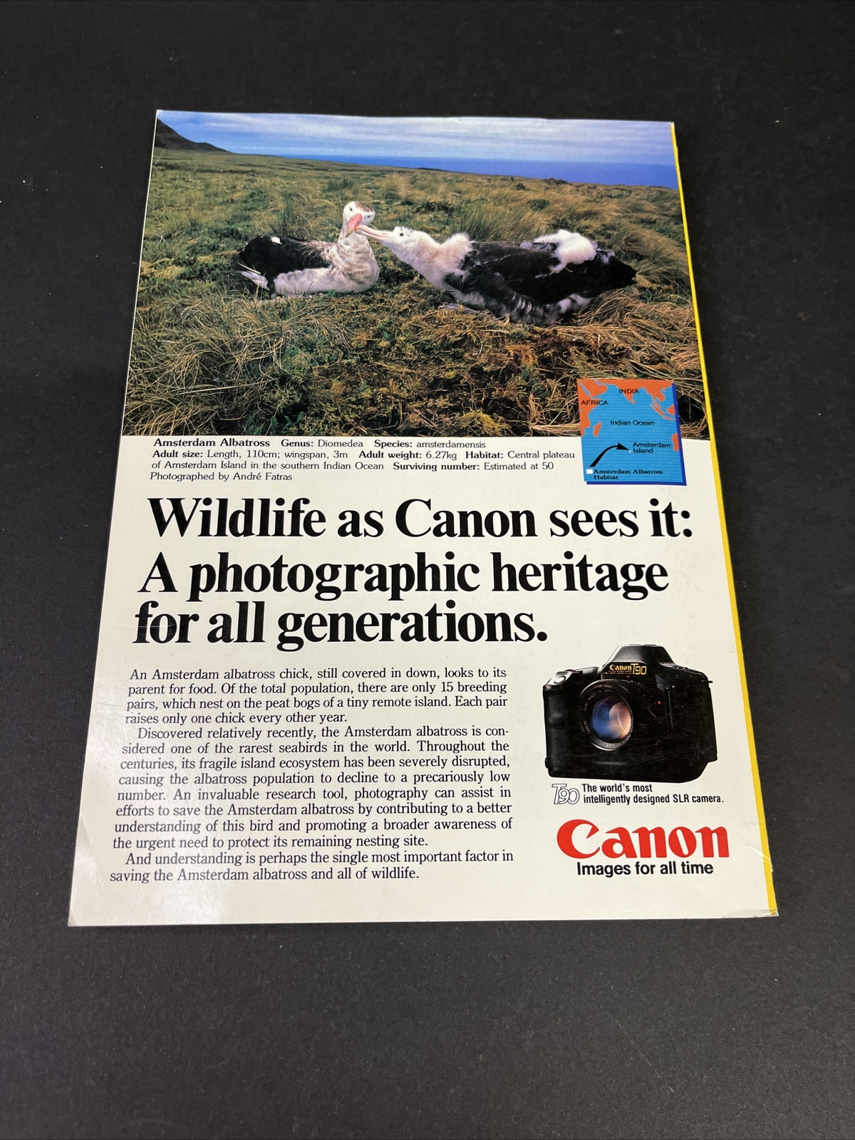 February 1987 National Geographic Iceland Life Under the Glaciers