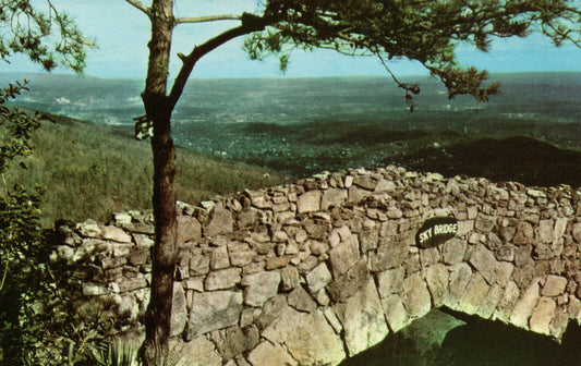 Sky Bridge Rock City Gardens Lookout Mountain Highway 58 TN Tennessee Postcard