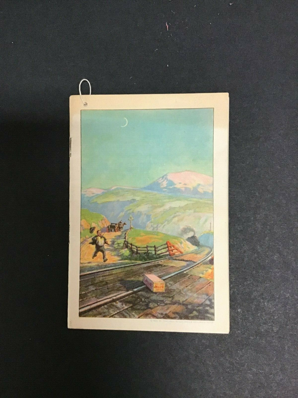 1924 Americans Most Famous Dessert Jell-o Jello Cook Book